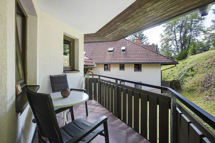 Ferienwohnung für 3 Personen, mit Balkon und Sauna in Todtmoos - 3