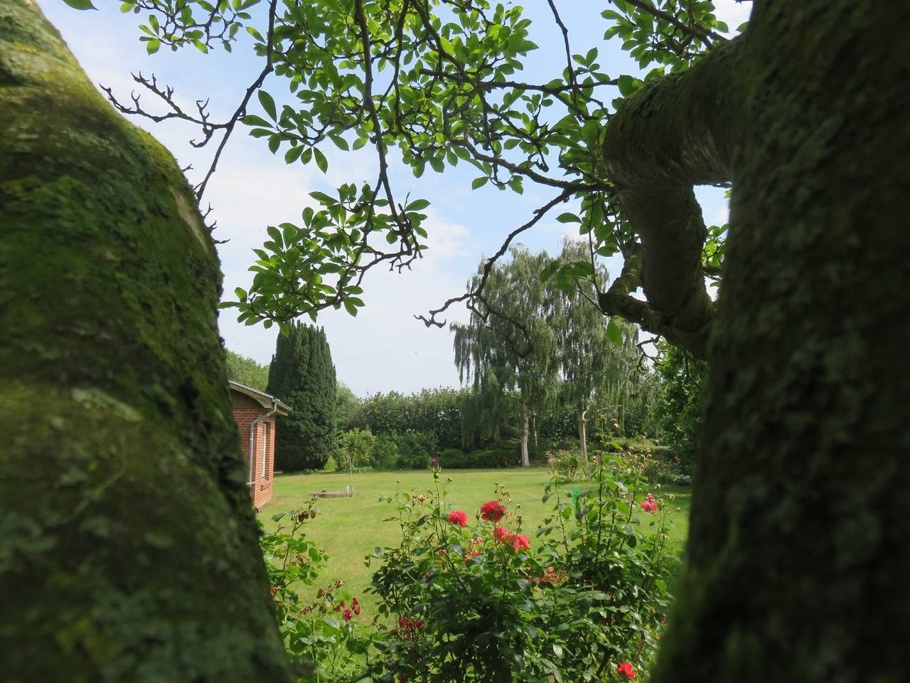 Vakantieappartement Hoffarth met privéterras, tuin en wifi, foto 12