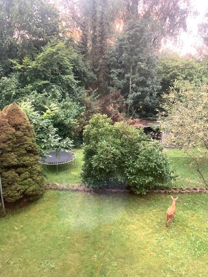 Ferienwohnung für 3 Personen, mit Balkon und Terrasse sowie Garten und Sauna in Bad Schwartau
