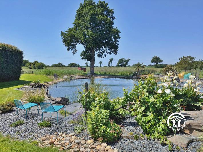 Gîte pour 10 personnes, avec piscine ainsi que jardin et terrasse, animaux acceptés dans Mayenne - 2