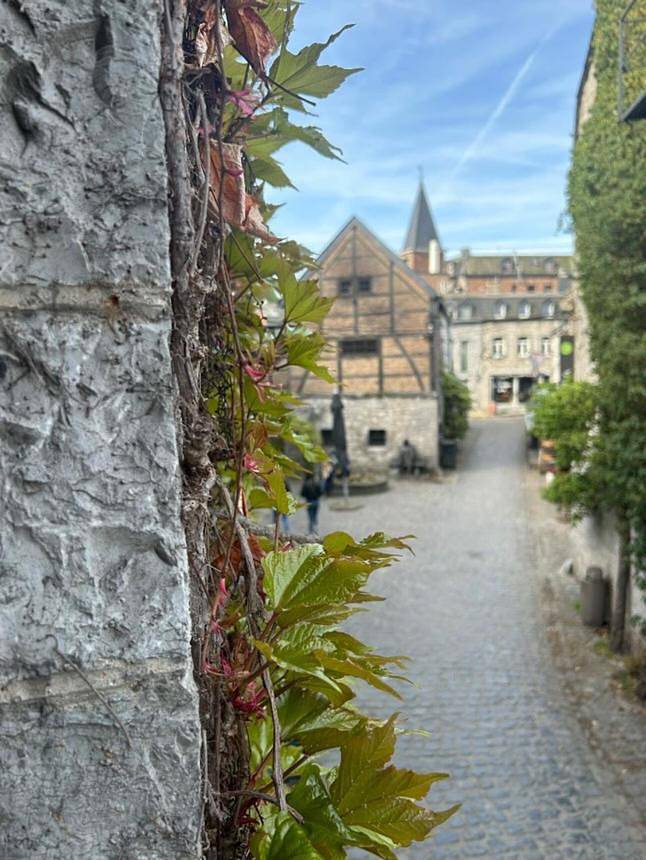 Chambre d’hôte pour 2 personnes, avec vue et jardin à Durbuy - 2