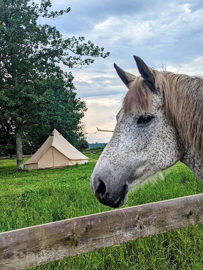 Tente pour 4 personnes, avec jardin dans les Landes - 4