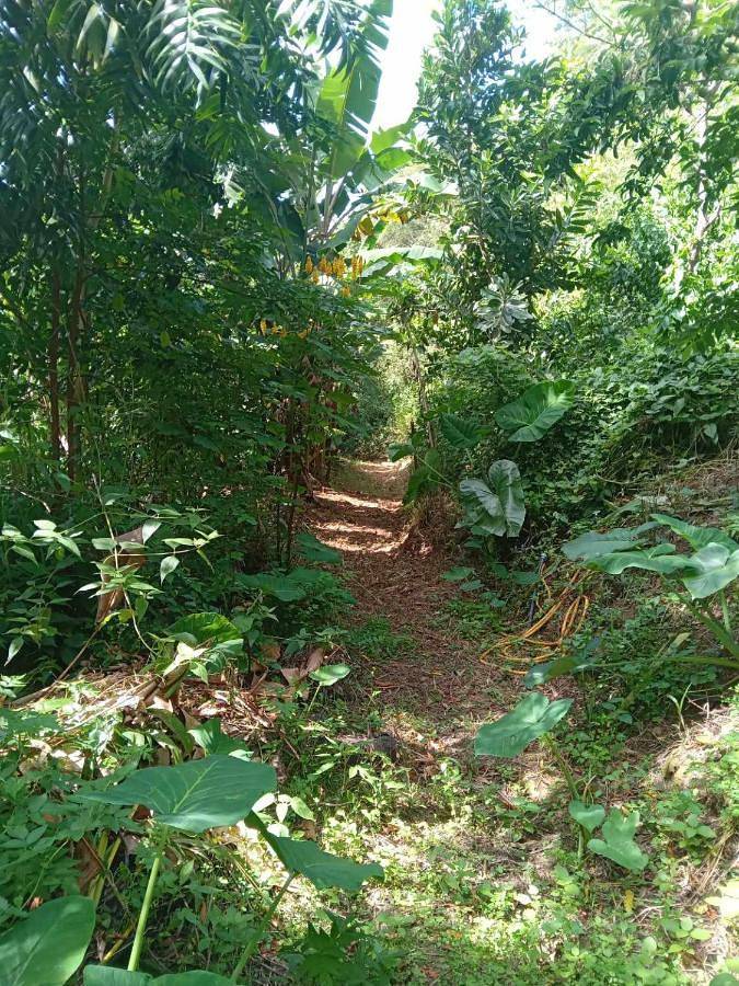 Location de vacances pour 11 personnes, avec vue ainsi que jardin et terrasse à Païta - 3