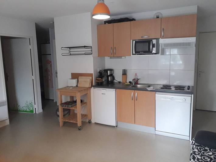 Appartement entier, Charmant appartement au pied des pistes, pour 6 personnes avec parking et casier à skis in La Pierre Saint-Martin, Arette
