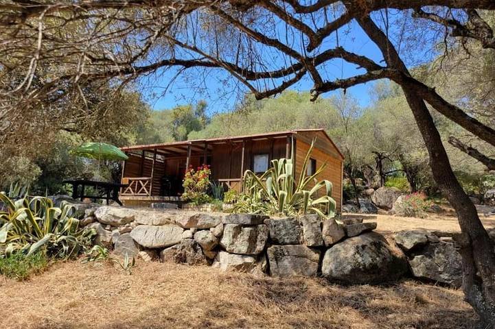 Chalet pour 4 personnes, animaux acceptés - 1