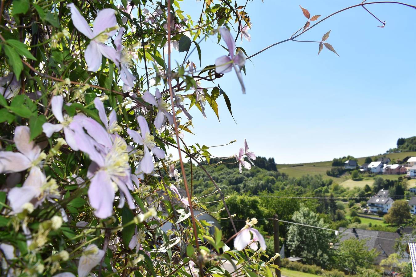 Geheel vakantieappartement, Appartement, douche, Wc, terras in Horath, Bernkastel-Kues en Omgeving