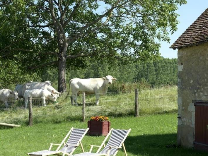 Encantadora casa del siglo XVIII con jardín, se aceptan mascotas in Pervenchères, Parc naturel régional du Perche
