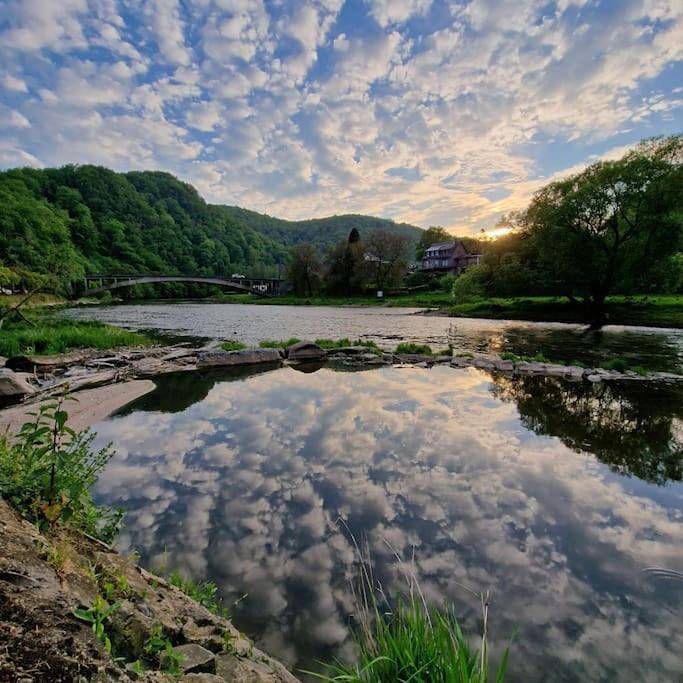 Gîte pour 6 personnes, avec vue et jardin, animaux acceptés à Bohan - 4