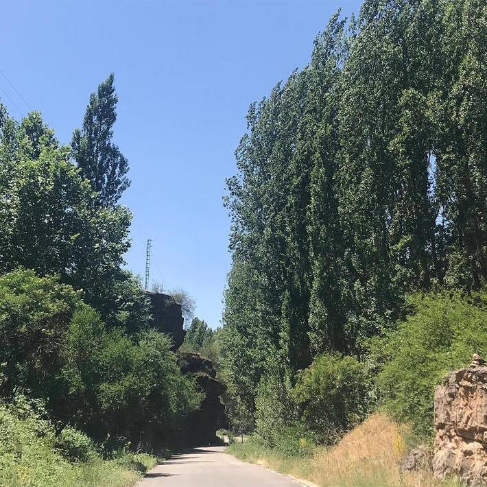 Casa rural para 3 personas, con jacuzzi además de jardín y piscina en Serranía de Guadalajara - 3