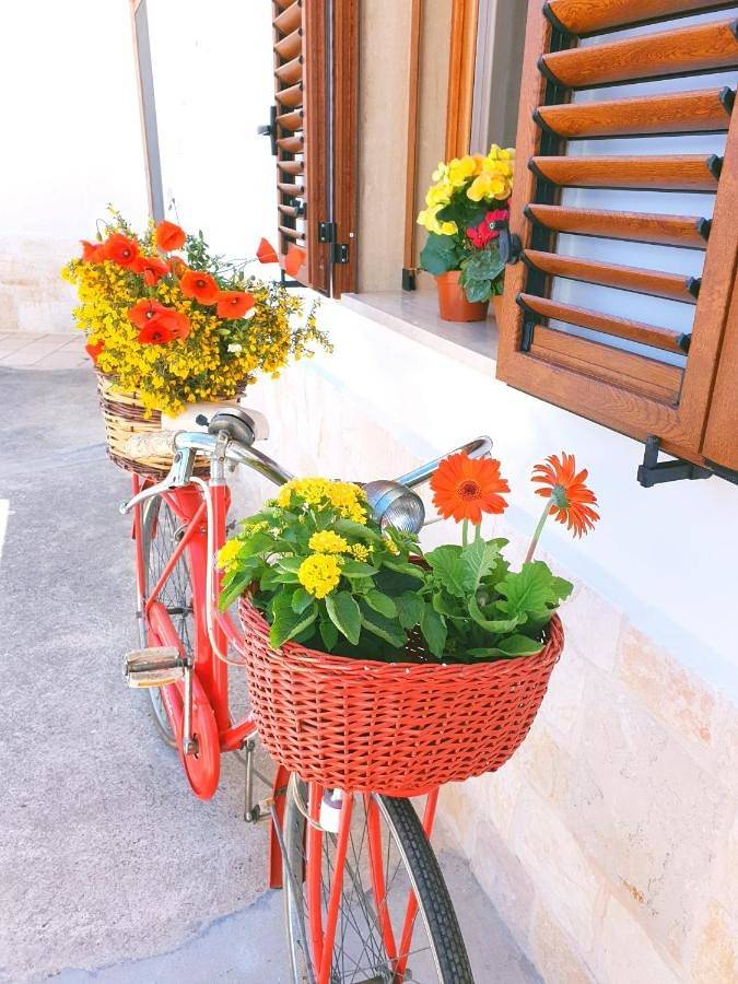 Location de vacances pour 6 personnes, avec vue et jardin à Impalata - 4