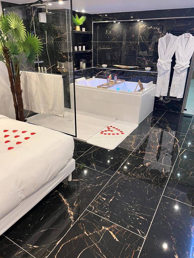 Gîte pour 5 personnes, avec jacuzzi, adapté aux familles à Athis-Mons - 4