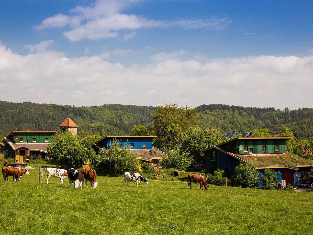 Ferienhaus Bio-Bauernhof Schöneweiß in Vöhl, Waldecker Land
