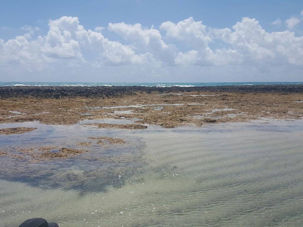 Ganze Wohnung, Wohnung 01 in Beira-Mar - São José da Coroa Grande in Maragogi, Litoral Sul de Pernambuco