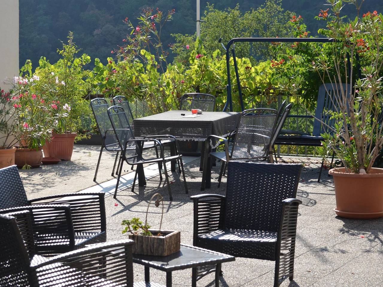 Gästehaus Sauer-Kettermann in Enkirch, Bernkastel-Kues & Umgebung