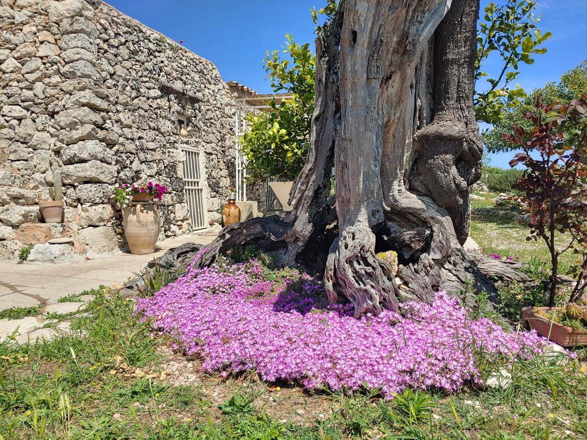 Appartamento intero, La Nicchia-Trullo in Corigliano d'Otranto, Provincia di Lecce