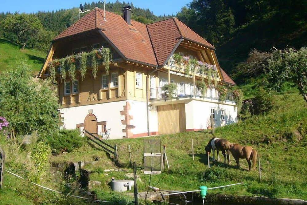 Ganze Wohnung, Ferienwohnung Winterbach, 40 qm, 1 Schlafzimmer, maximal 2 Personen in Wolfach, Mittlerer Schwarzwald