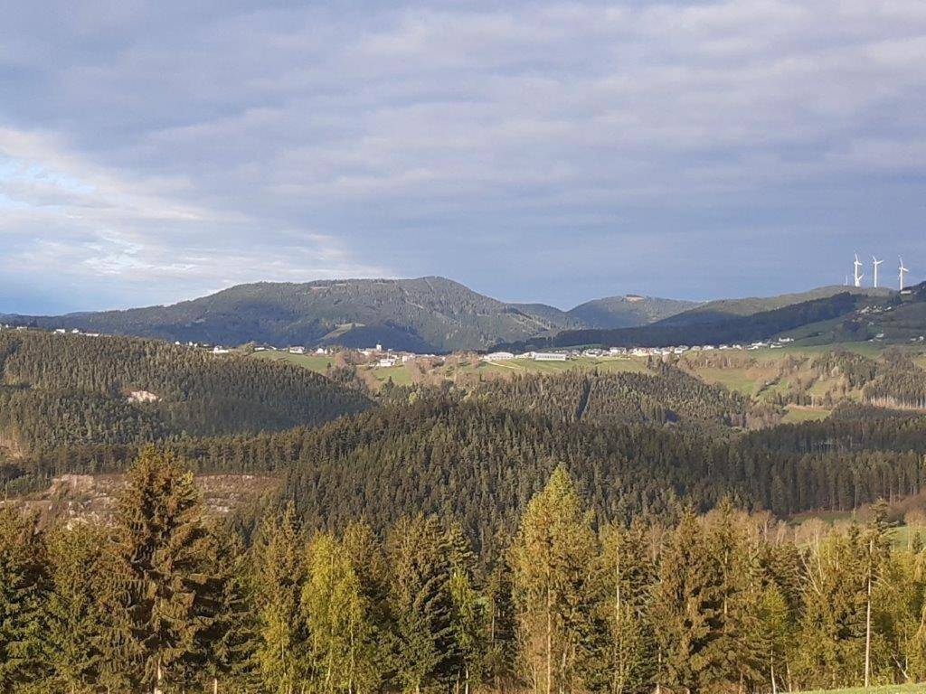 Two-Bedroom House in Fischbach, Steirerland