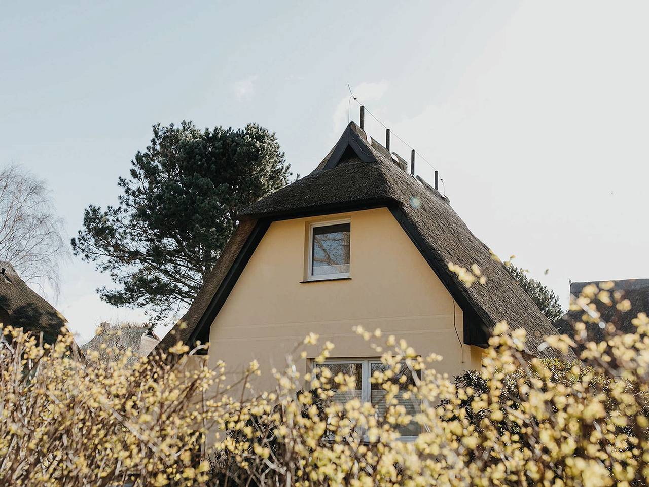 Ganze Ferienwohnung, Haus Seestern in Ahrenshoop, Fischland
