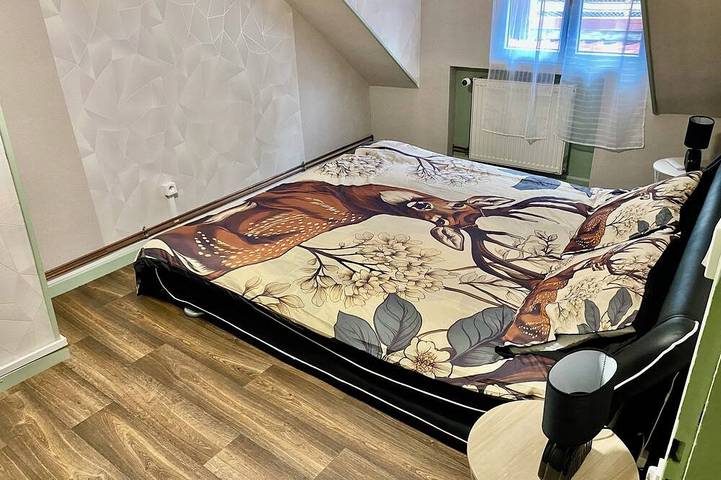 Location de vacances pour 9 personnes, avec terrasse et jardin à Urbès - 4