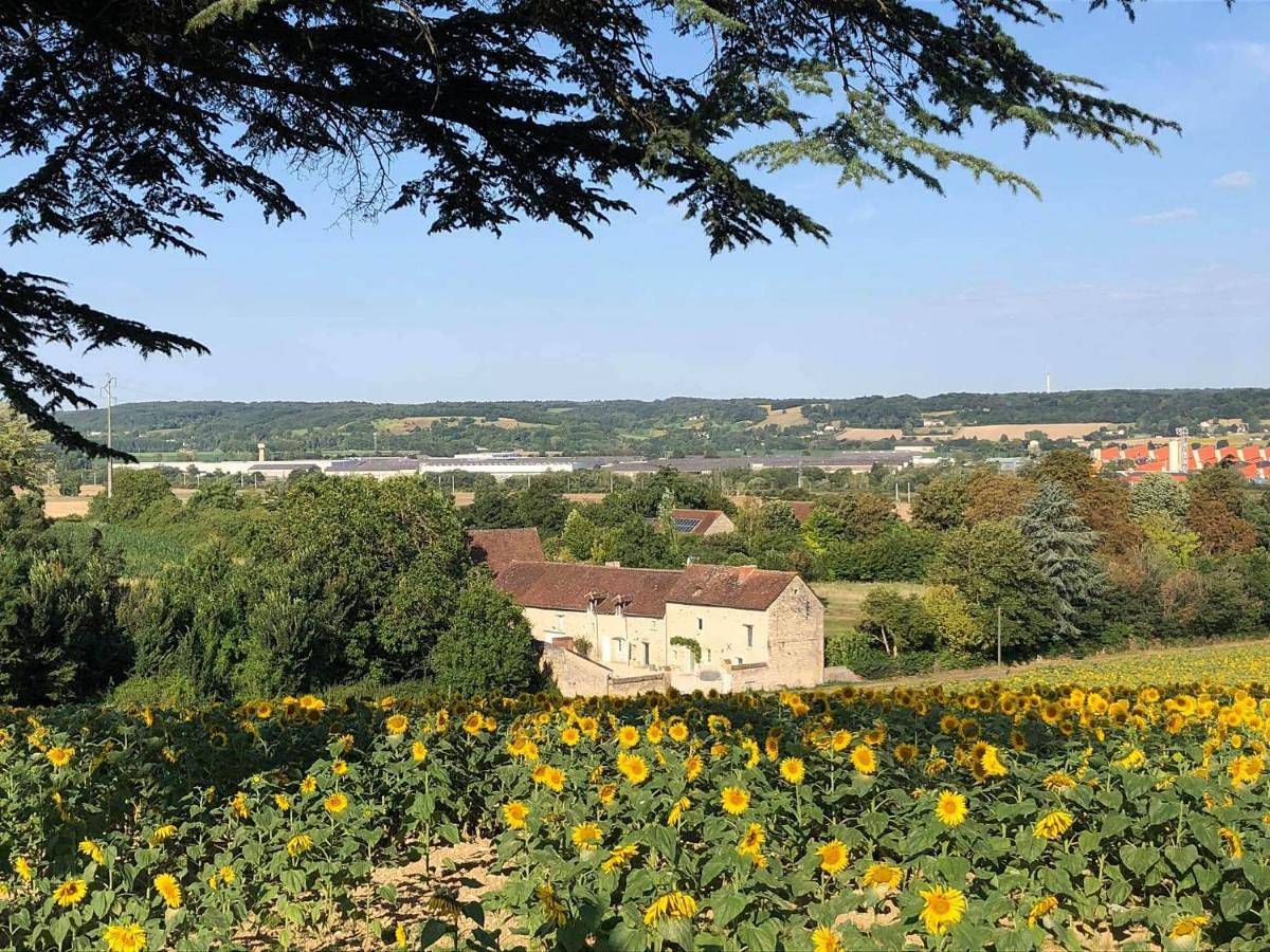 Le Domaine de Bella in Dangé-Saint-Romain, Vienne (France)