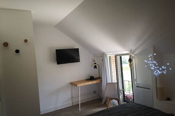 Location de vacances pour 5 personnes, avec terrasse et jardin à Ouzouer-sur-Trézée - 3