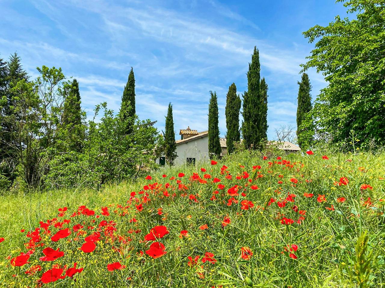 Casa con piscina entre robles centenarios en Tuscia in Viterbo, Provincia de Viterbo