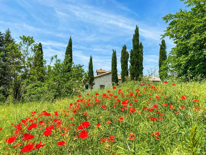 Location de vacances pour 8 personnes, avec jardin et terrasse, adapté aux familles à Viterbo - 2