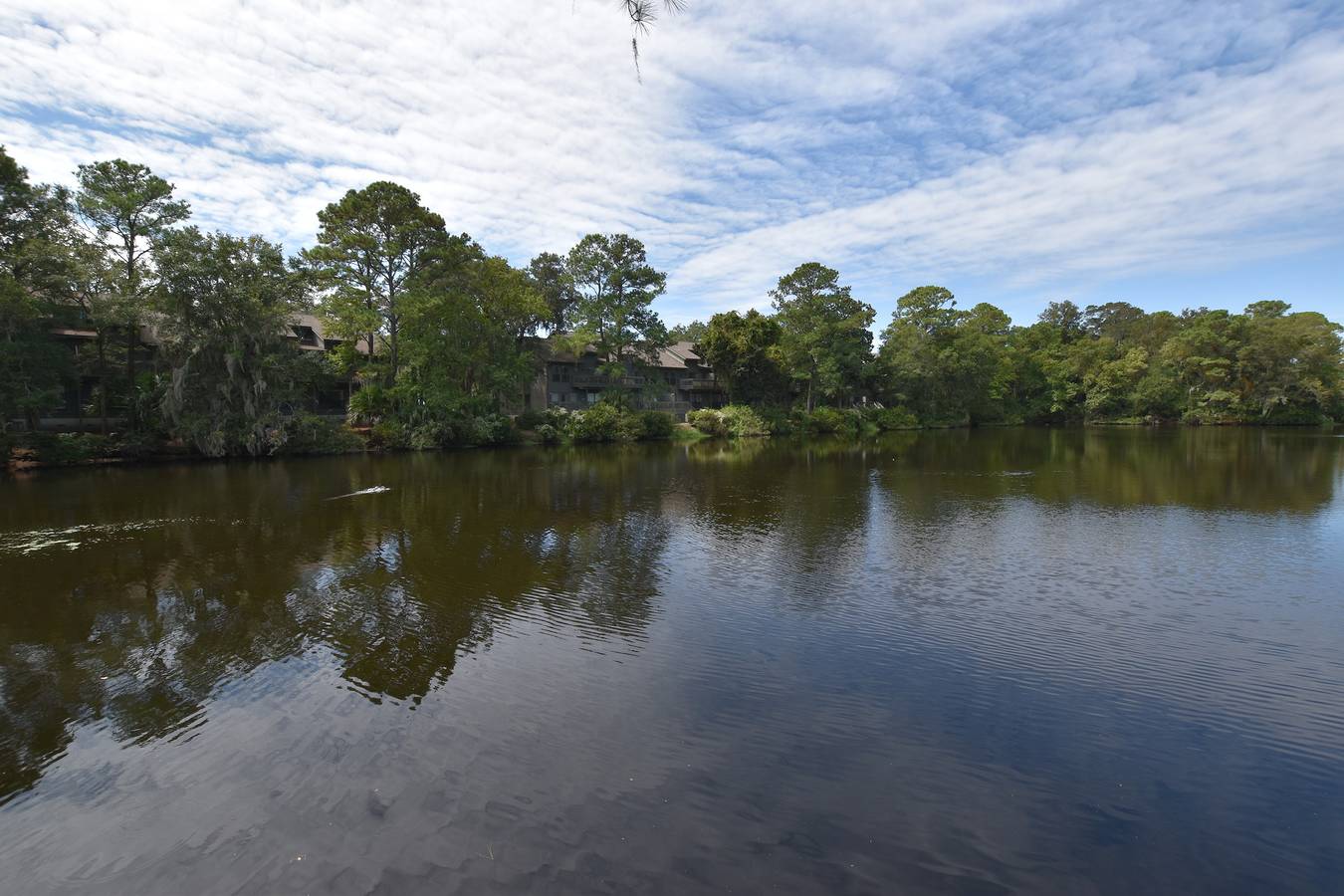 Cuartos de bergantín 206 in Coligny Beach, Shipyard Plantation