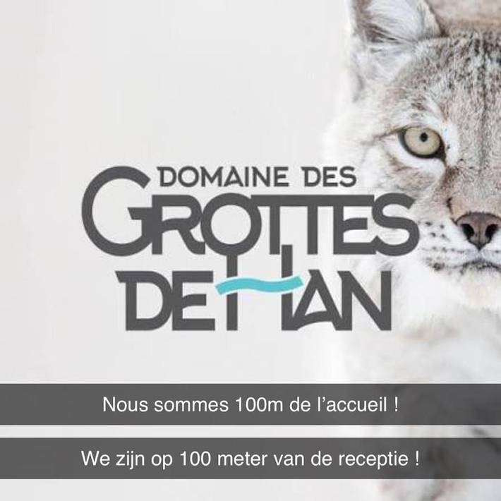 Gîte pour 4 personnes, avec piscine et jardin dans Han-sur-Lesse - 3