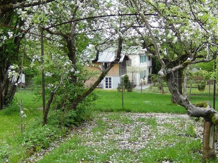 Ferienhaus für 4 Personen, mit Terrasse am Ammersee - 3