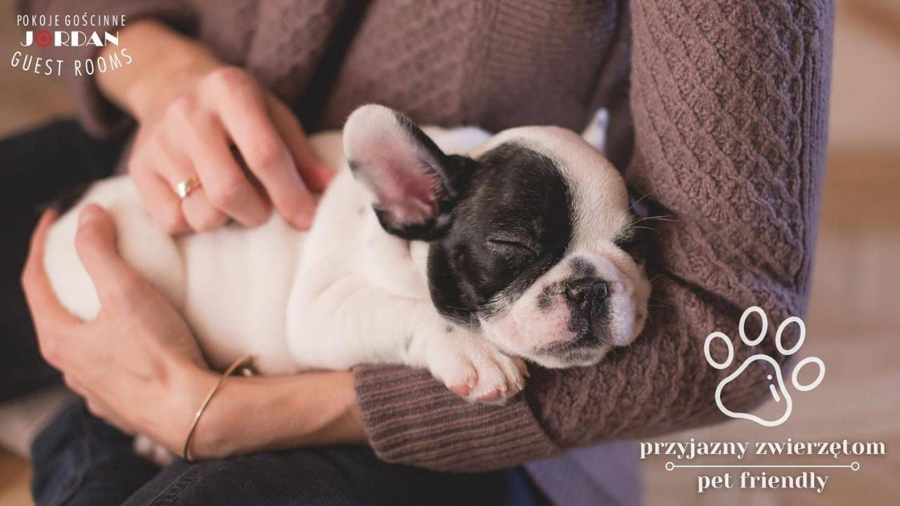 Jordan Pokoje Gościnne in Kraków, Małopolska