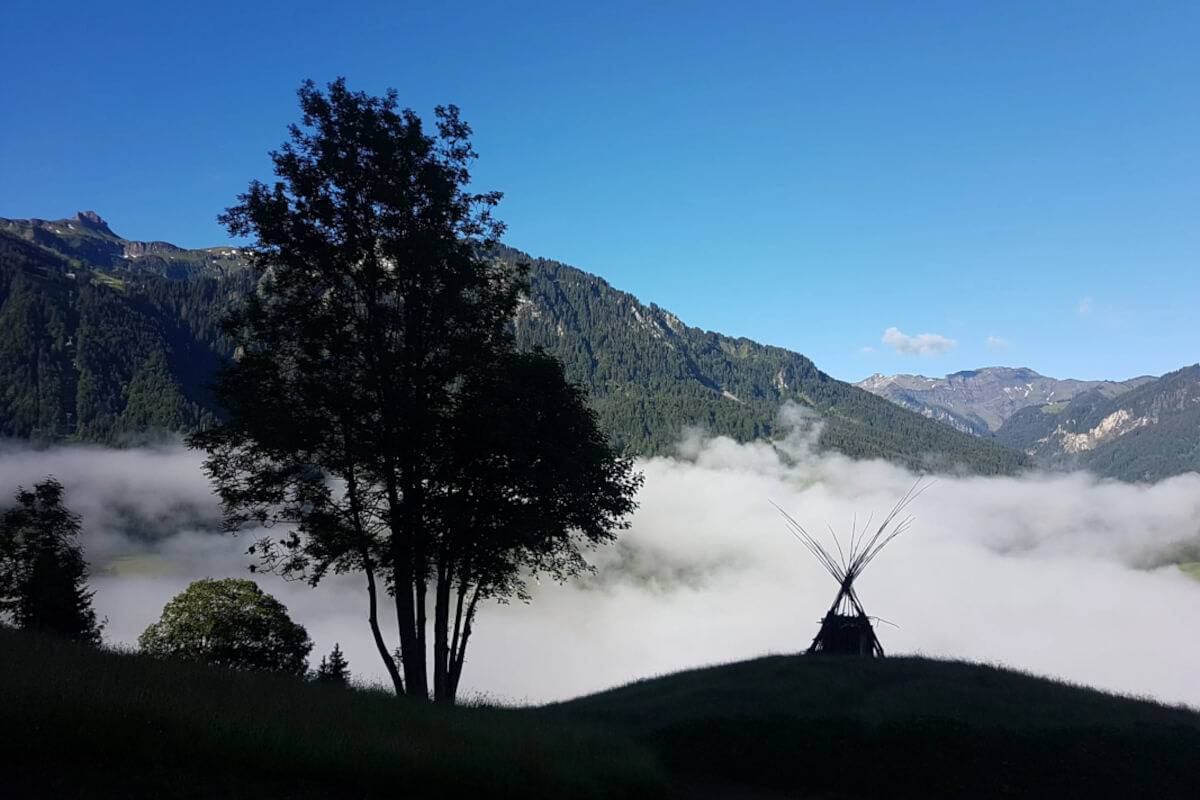 Panoramahof Bergglück - Wiesnduft in Mellau, Bregenzerwald