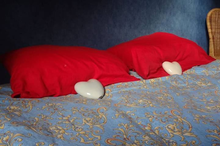 Location de vacances pour 6 personnes, avec terrasse et jardin à Trévières - 3