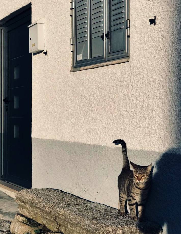 Location de vacances pour 4 personnes, avec jardin dans Figueira de Castelo Rodrigo - 4