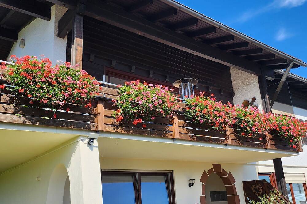 Ganze Wohnung, Gemütliche Ferienwohnung mit traumhaftem Bergblick in Wertach, Bayerisch Schwaben