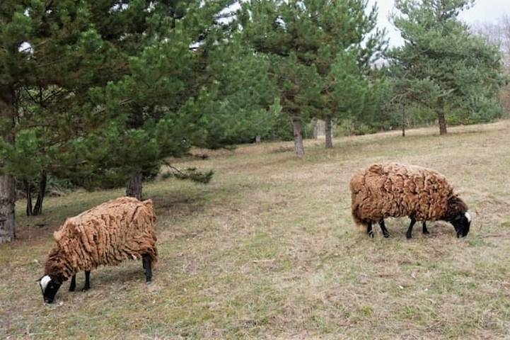 Gîte pour 6 personnes