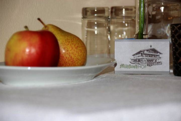 Maison d’hôte pour 2 personnes, avec jardin et vue ainsi que sauna et balcon à Alpbach - 4