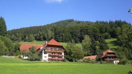 Cottage pour 4 personnes, avec terrasse et balcon/terrasse à Mühlenbach