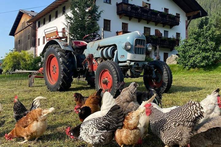 Bauernhof für 6 Personen, mit Garten am Achensee