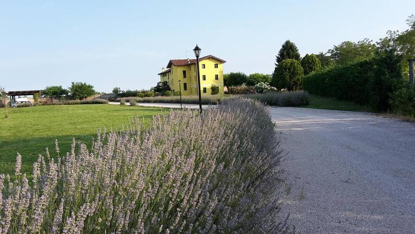 Gîte pour 2 personnes, avec vue ainsi que jardin et balcon, animaux acceptés à Palazzolo dello Stella