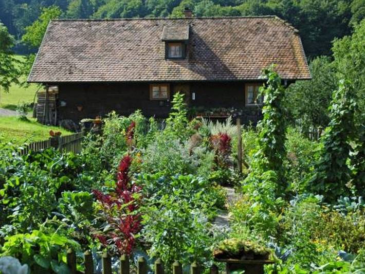 Ganze Ferienwohnung, Haagseppenhof - Ferienwohnung Talblick, 58qm, 1 Schlafzimmer, max. 2 Personen in Seelbach, Mittlerer Schwarzwald
