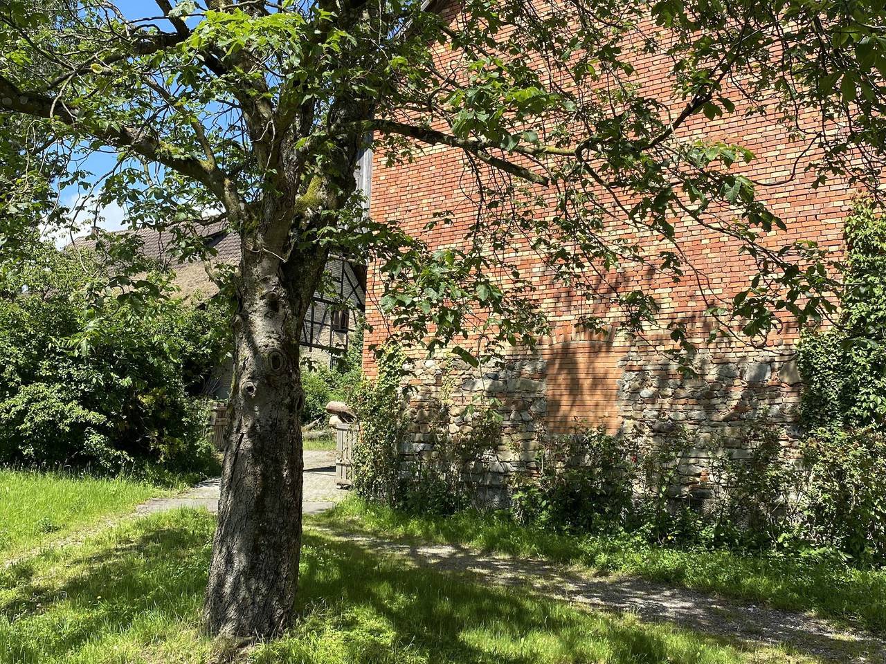 Ganze Ferienwohnung, Haus Apfelwiese - Apfelwiesen Ii, 35 qm, mit Schlafsofa und Etagenbett, max. 3 Personen in Friedrichshafen, Region Bodensee-Oberschwaben