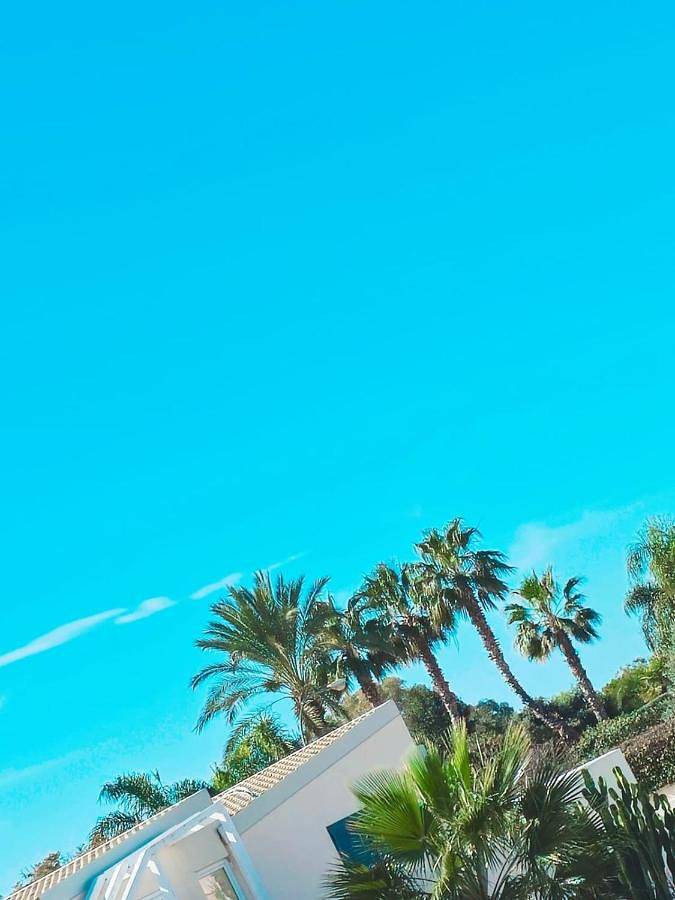 Maison d’hôte pour 2 personnes, avec balcon et jardin ainsi que piscine et vue, animaux acceptés à Porto Empedocle - 4