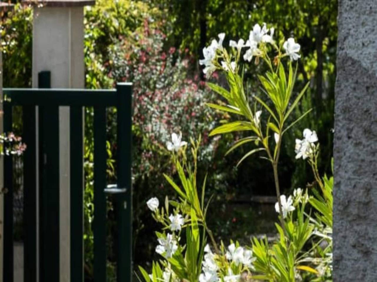 Apartamento entero, Casas y Villas para 8 Personas in Tours, Región de Tours