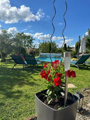 Maison d’hôte pour 3 personnes, avec vue et terrasse ainsi que jardin et piscine, animaux acceptés à Louhans