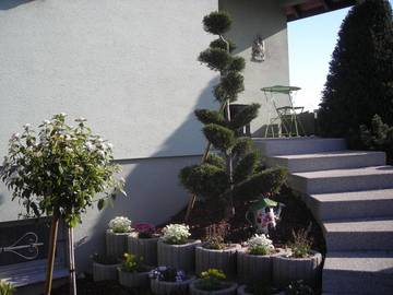 Chambre d’hôte pour 2 personnes, avec terrasse et jardin à Ingersheim