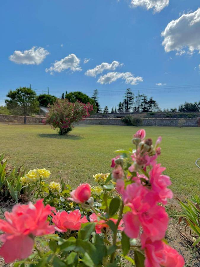 Location de vacances pour 5 personnes, avec piscine et jardin, adapté aux familles à Fitou - 2