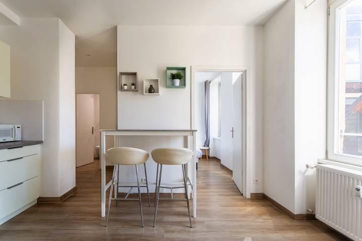 Apartamento entero, Apartamento de vacaciones para 2 personas in Estrasburgo, Región de Estrasburgo