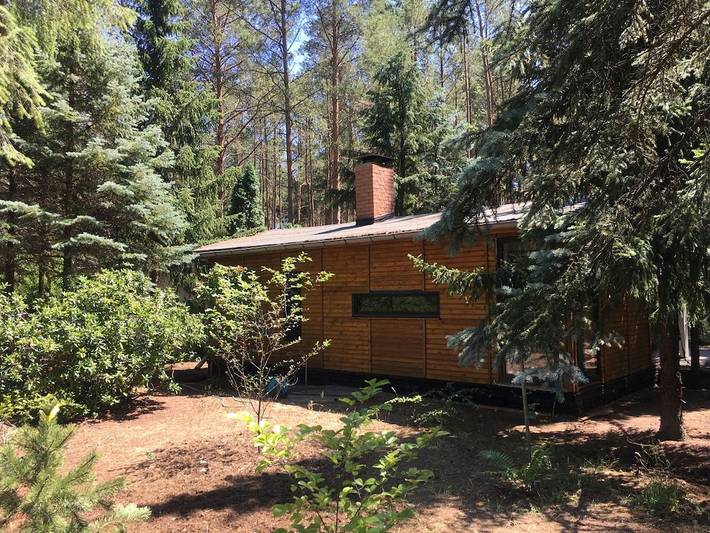 Bungalow im Wald in Borkwalde, Mittelmark