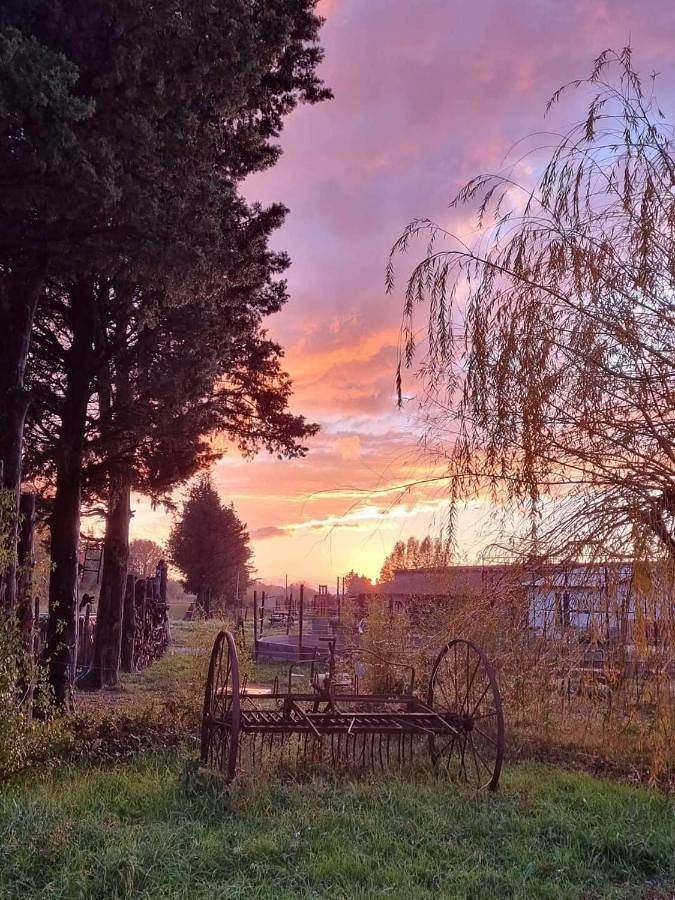 Location de vacances pour 2 personnes, avec Terrasse et Jardin à Caumont-sur-Durance - 3